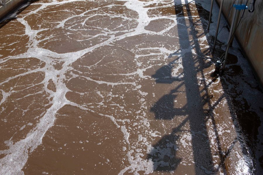 fundus-hochdorfauswahlrafael2022-307G5882