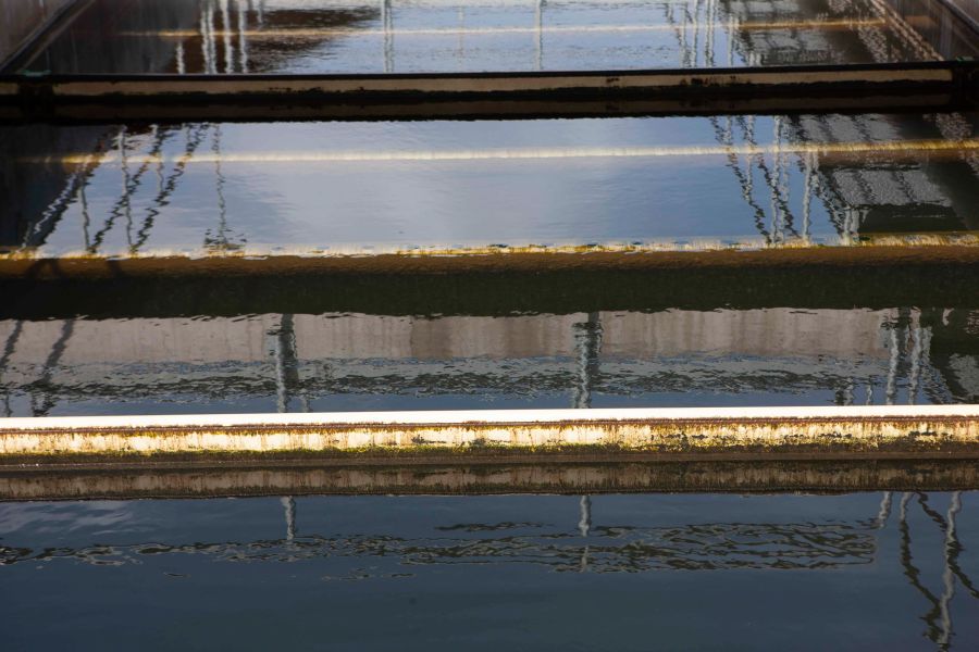 fundus-hochdorfauswahlrafael2022-307G5895